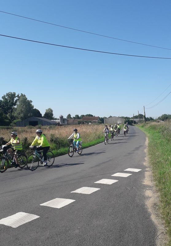 LE PELOTON S'ETIRE