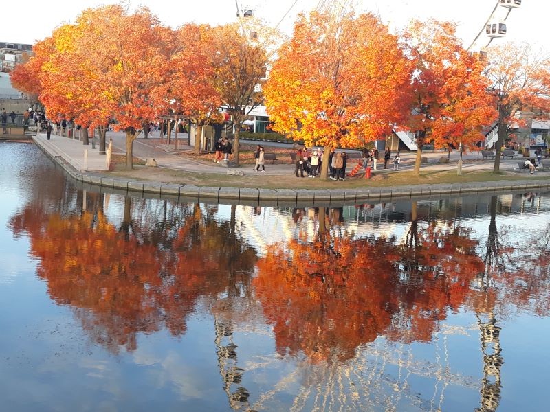 Couleurs du canada