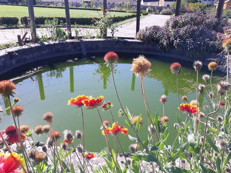 Petit plan d'eau des jardins